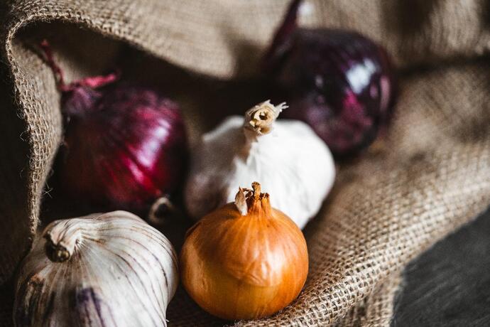 Can cats eat outlet onions and garlic