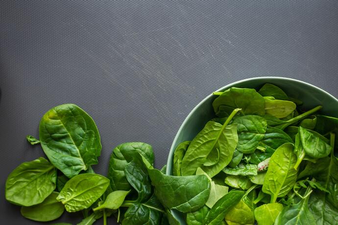 Is spinach 2024 poisonous to cats