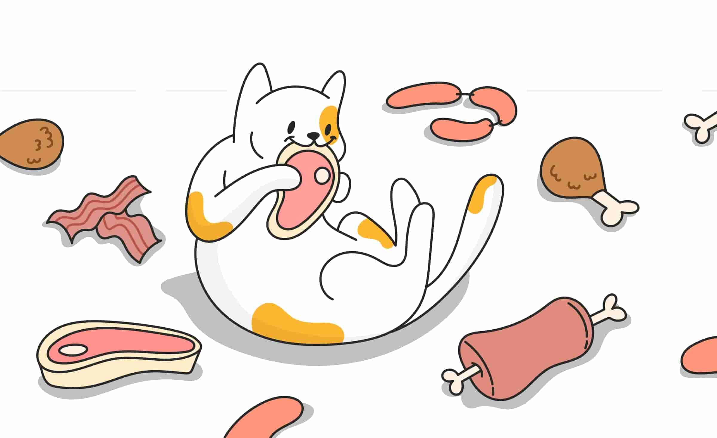 Cats And Meat Can Cats Eat Chicken Pork Beef And Other Meats 