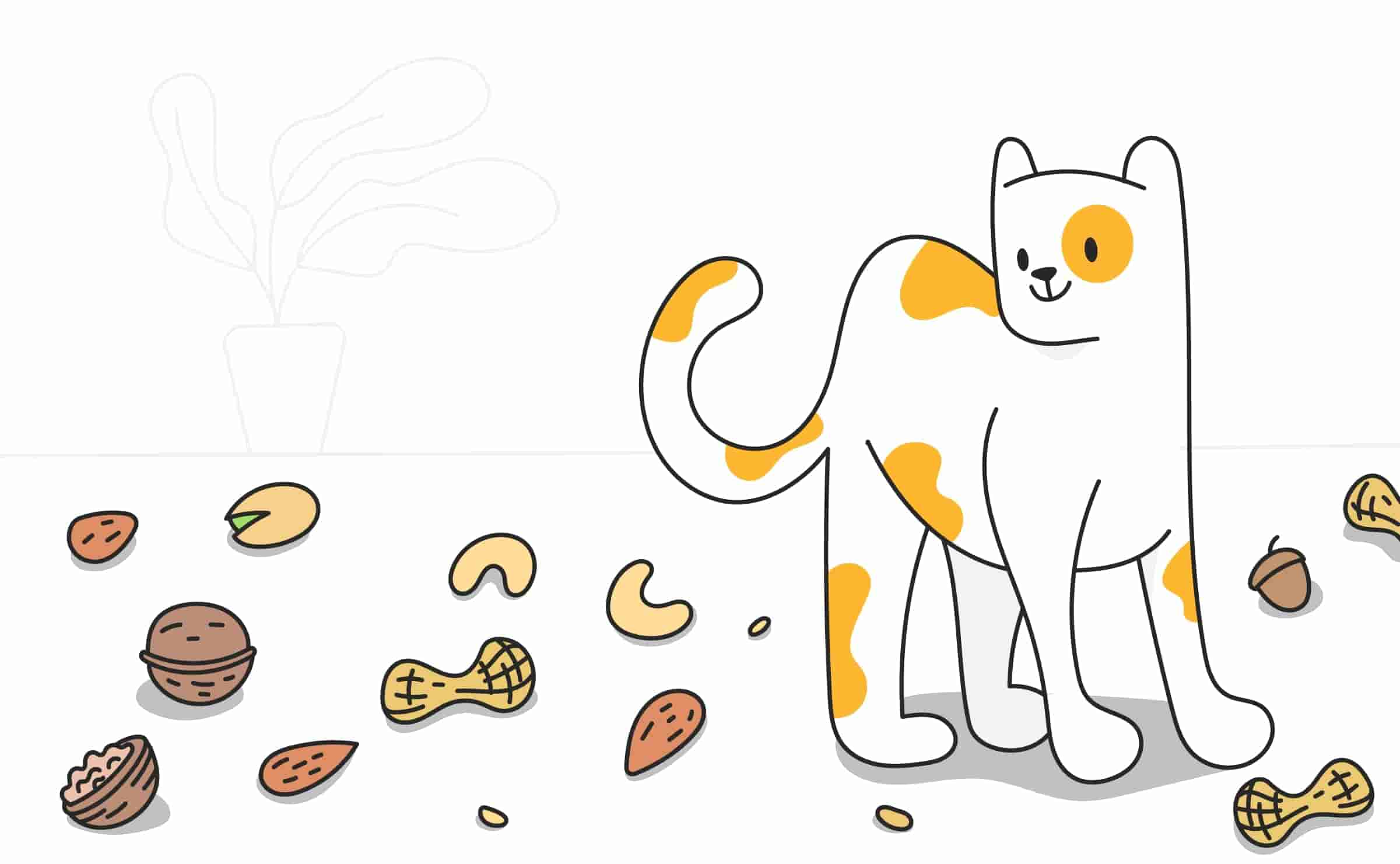 Can Cats Eat Nuts A Full Review of Nuts and Seeds your Cat Can Eat