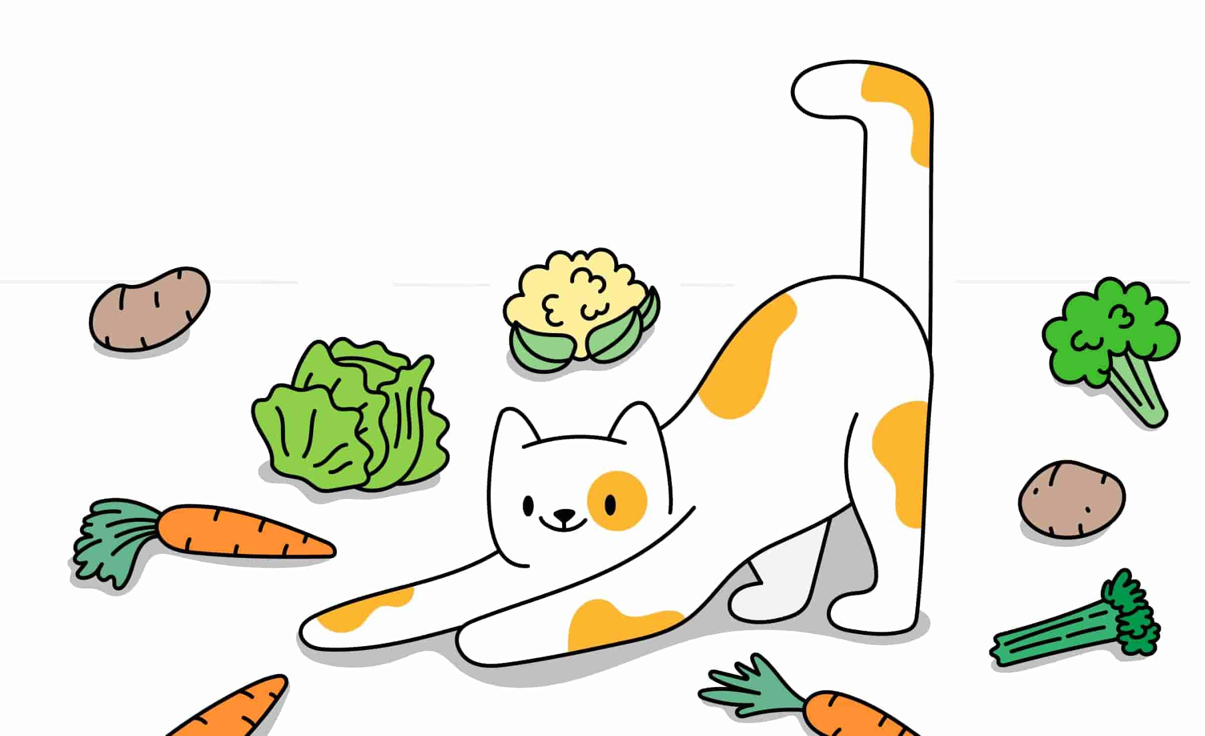 Can Cats Eat Potatoes, Carrots, Broccoli and Other Vegetables?