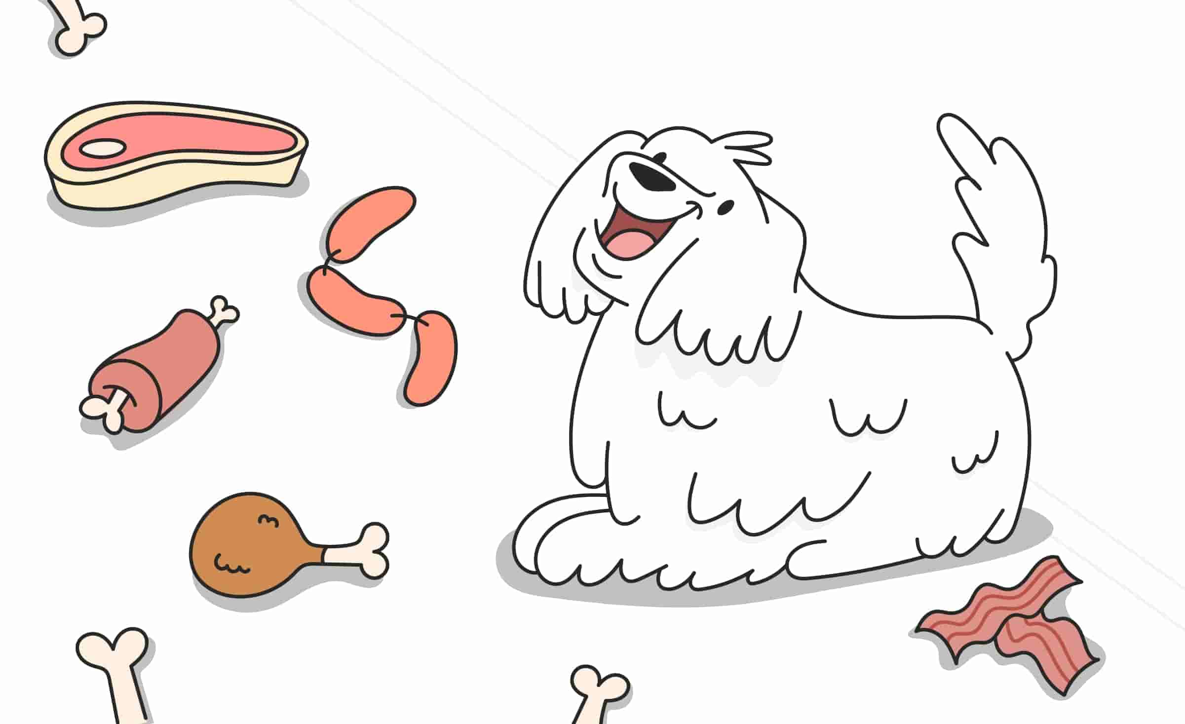 Should Dogs Only Eat Meat