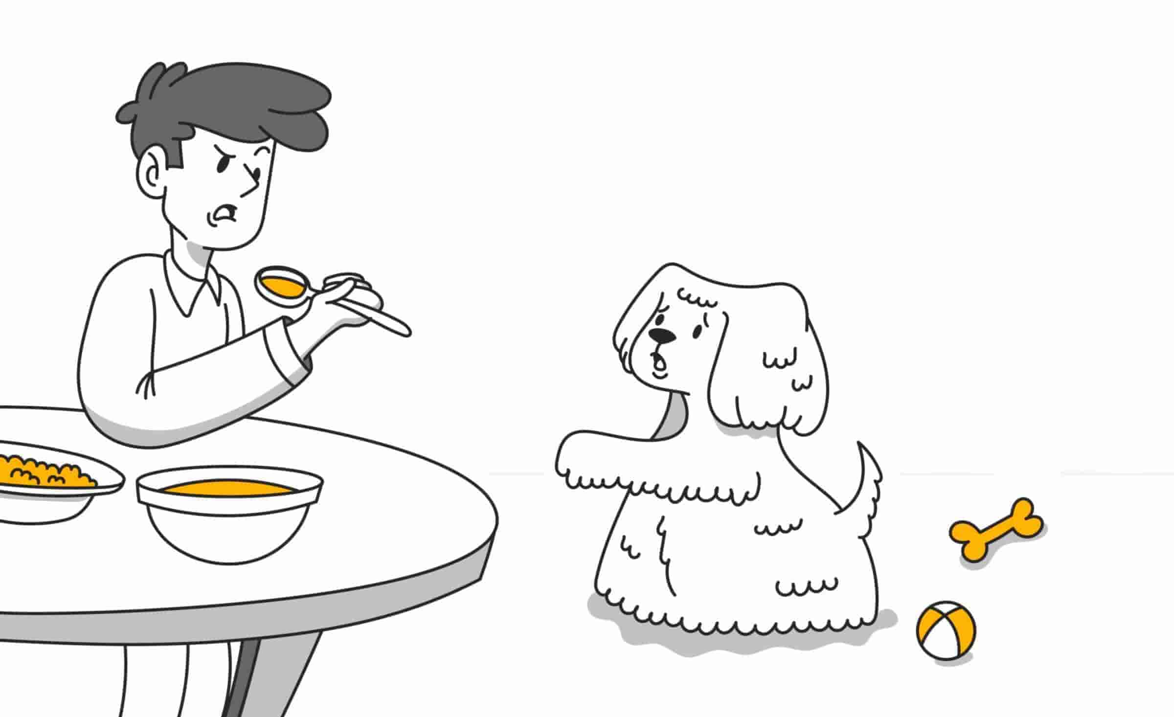 Why Do Dogs Beg for Food and How Can You Stop It?