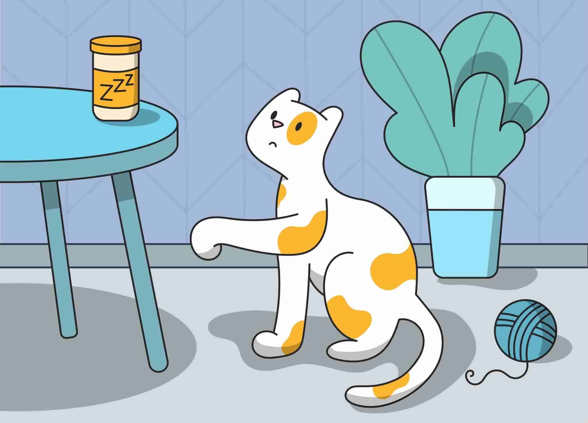 Melatonin For Cats: Uses, Dosage, and Side Effects