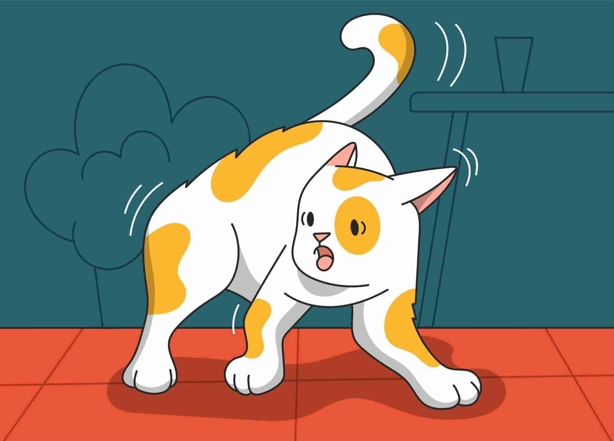 JITTERY KITTIES GETTING SPOOKED – SCAREDY CATS ARE JUST TOO SILLY! ﻿