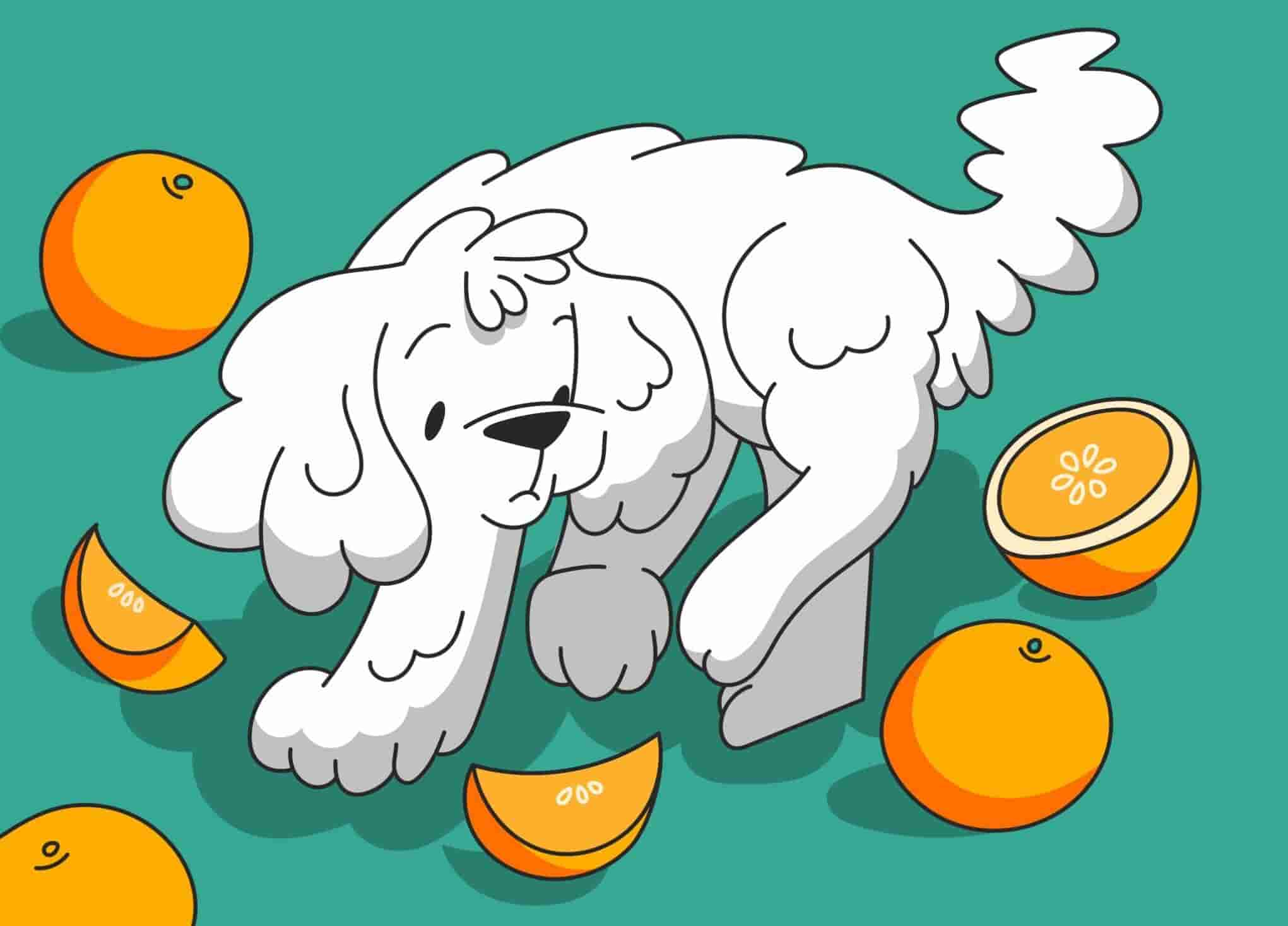 are orange peels safe for dogs