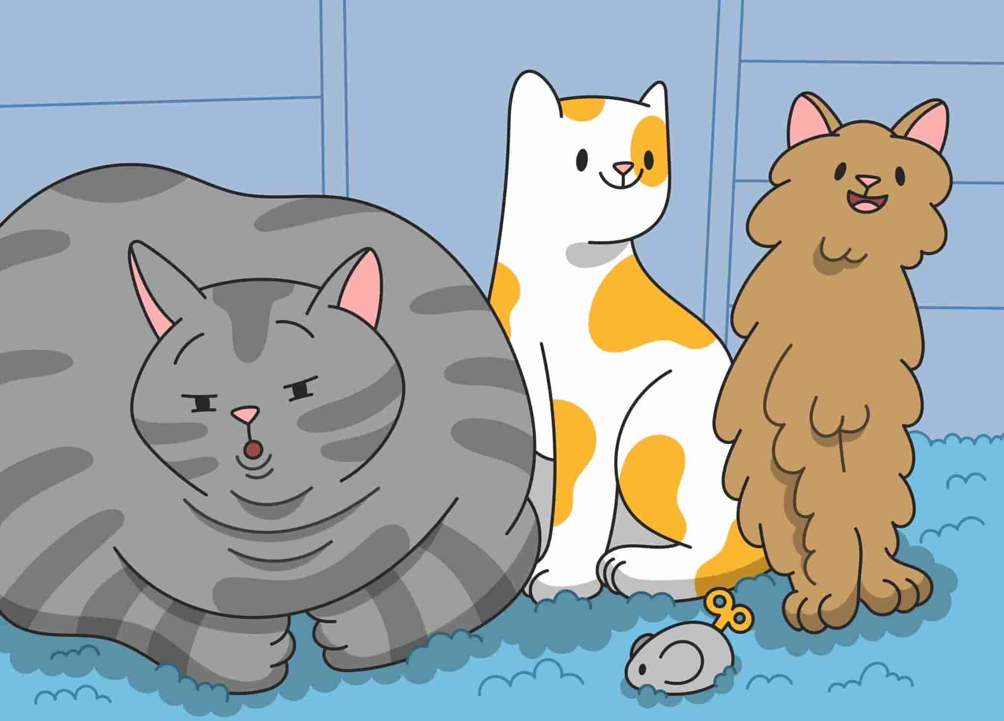 How To Get My Cat To Lose Weight