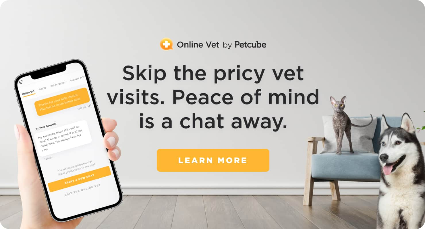 Petcube Online Vet