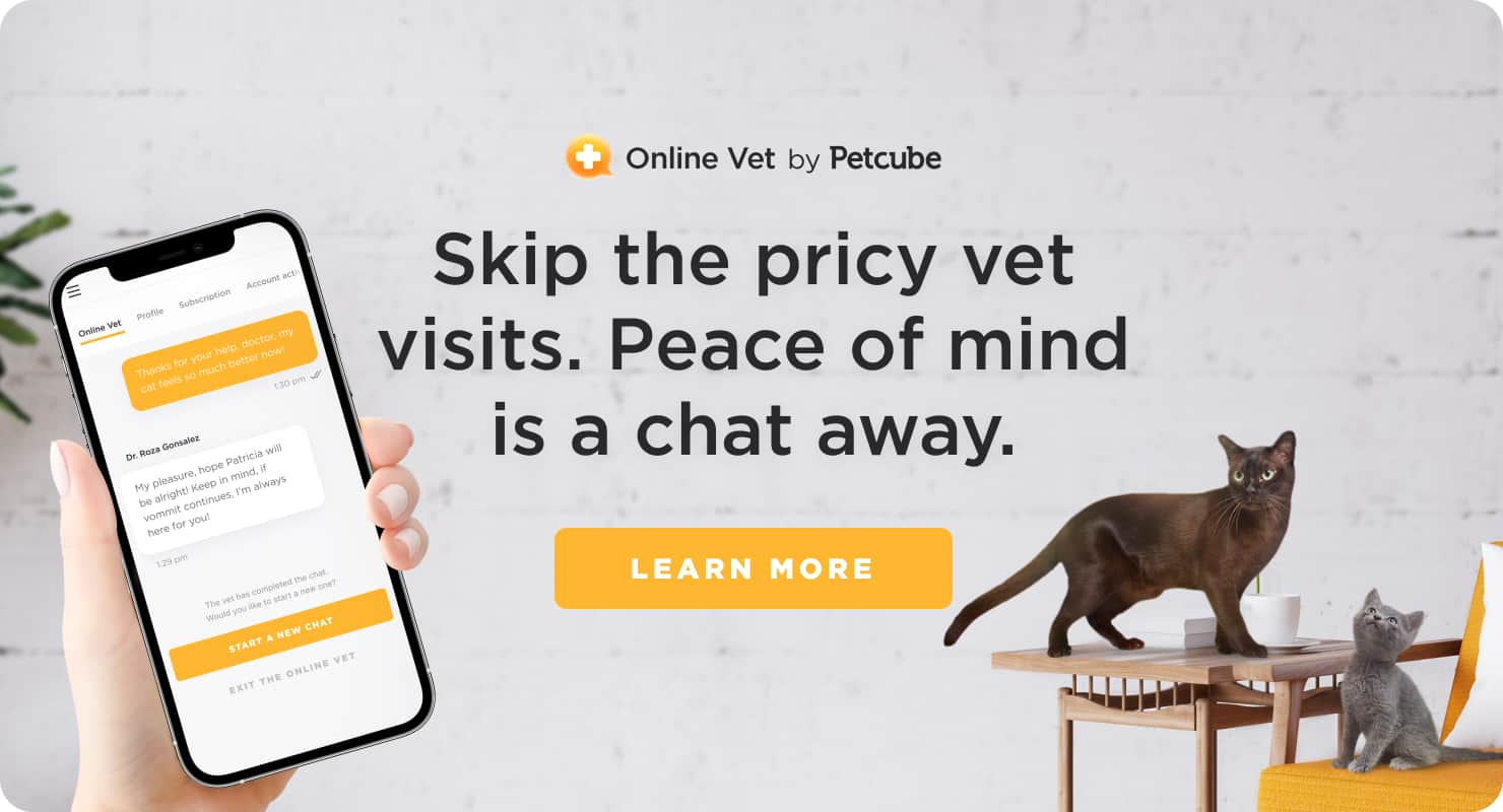 Petcube Online Vet