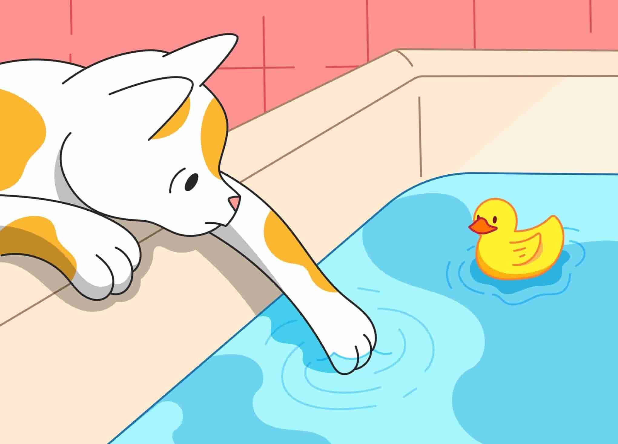 Why are Cats Afraid of Water? 4 Reasons Why Your Cat Hates it