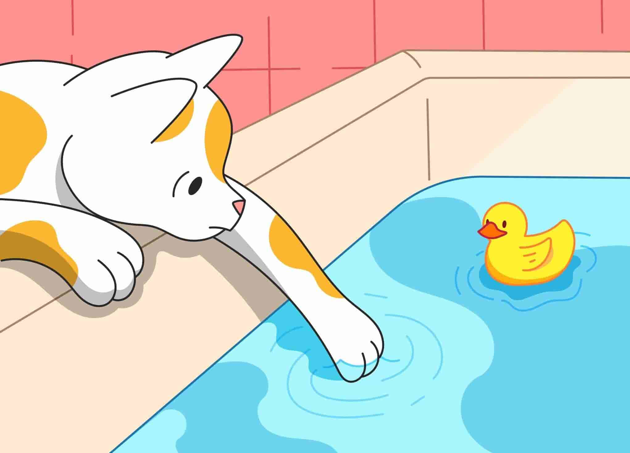 4-main-reasons-why-cats-don-t-like-water