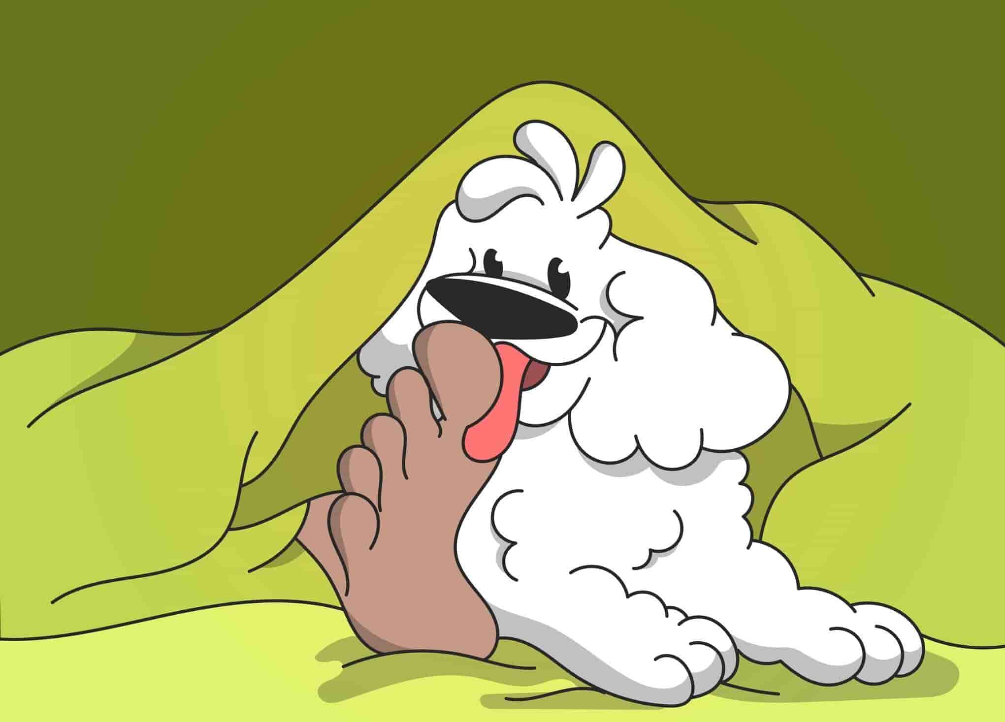 Dog licking peanut butter off dick