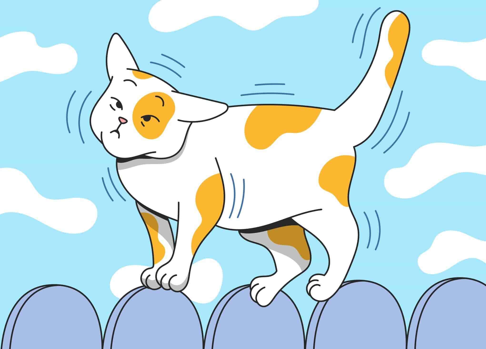 What To Do If Your Cat Has Tremors?