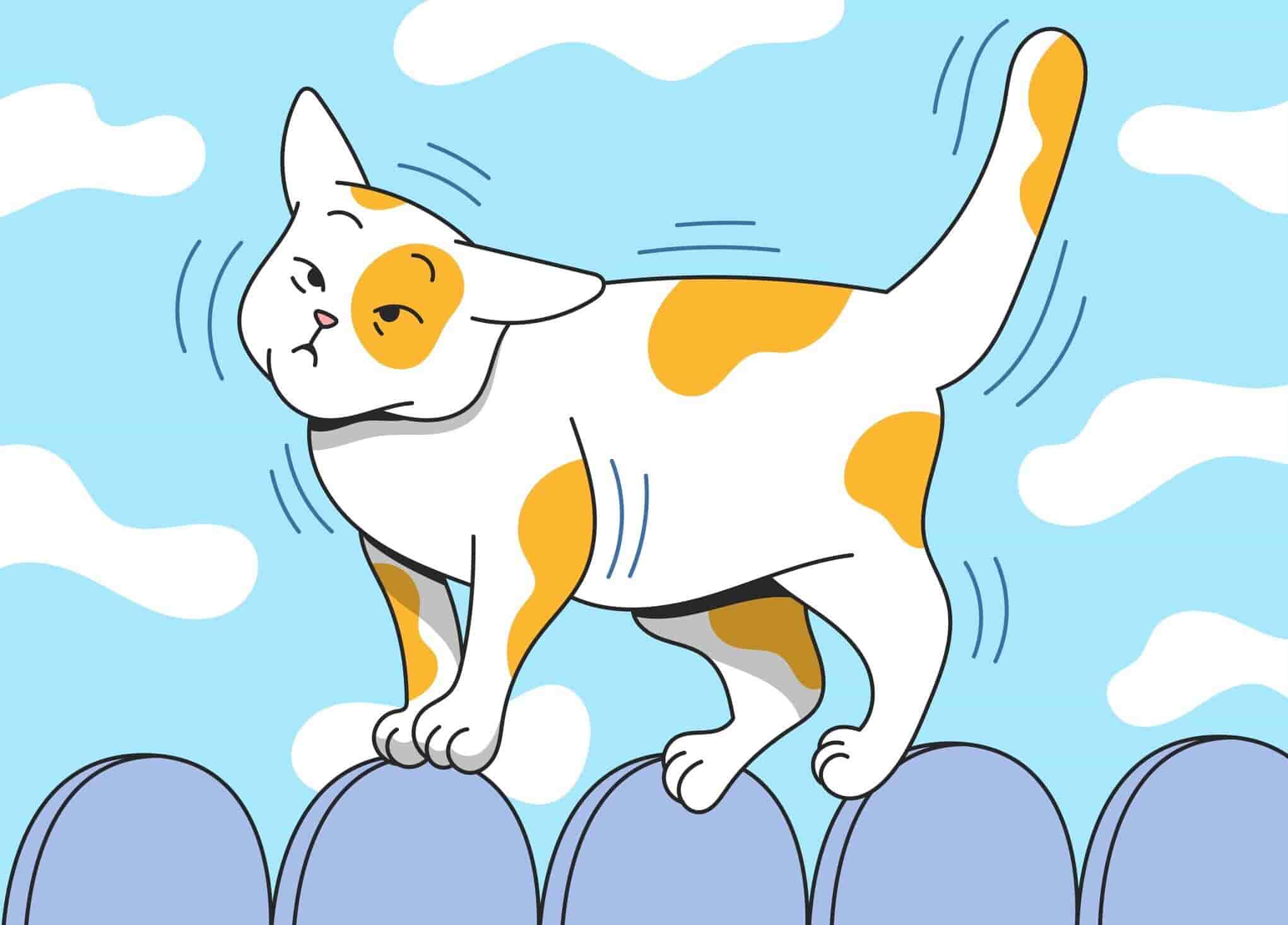 Wobbly Cat Syndrome What Does A Cat Tremor Look Like 