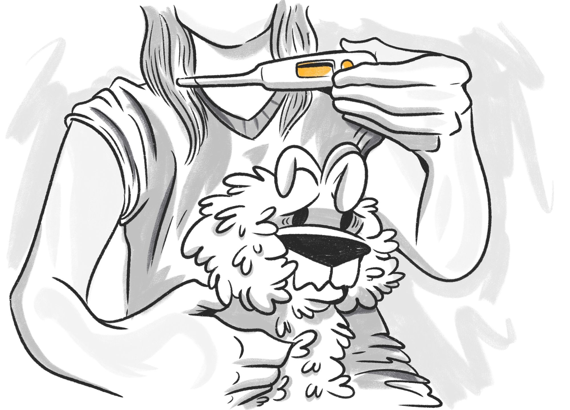 How To Comfort A Dog With A Fever 