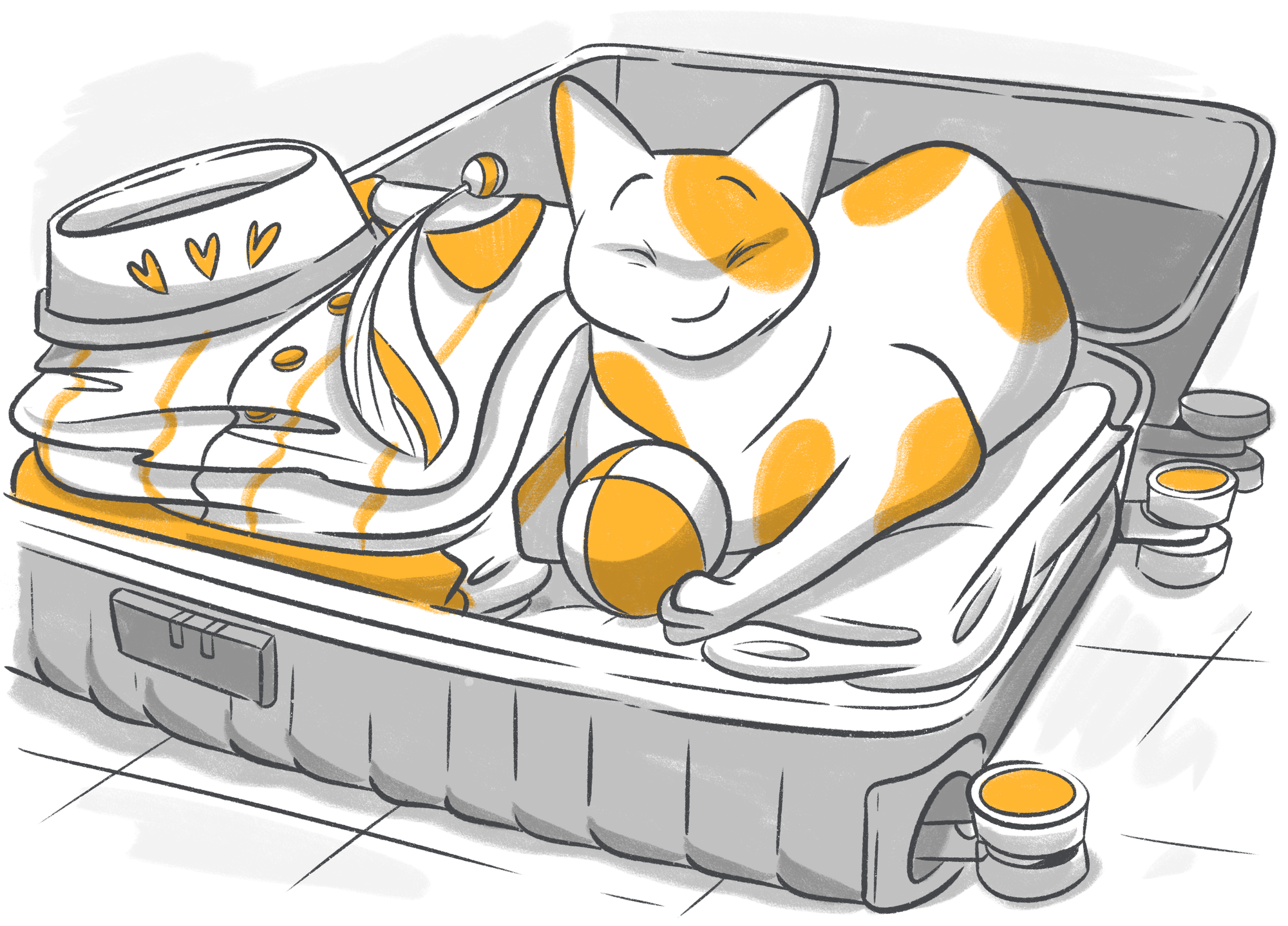 Essential Tips for Traveling With Your Cat