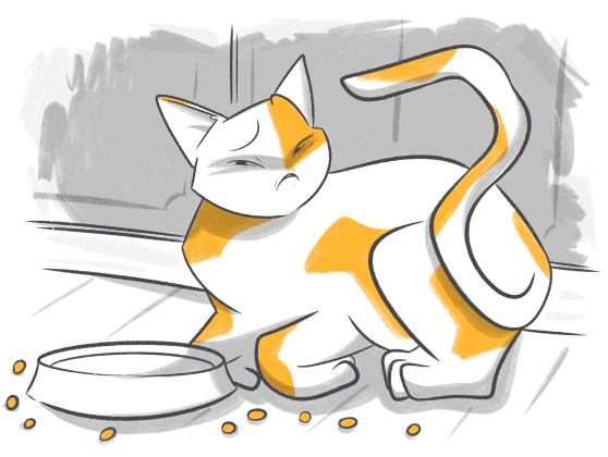 Angry cats on Make a GIF