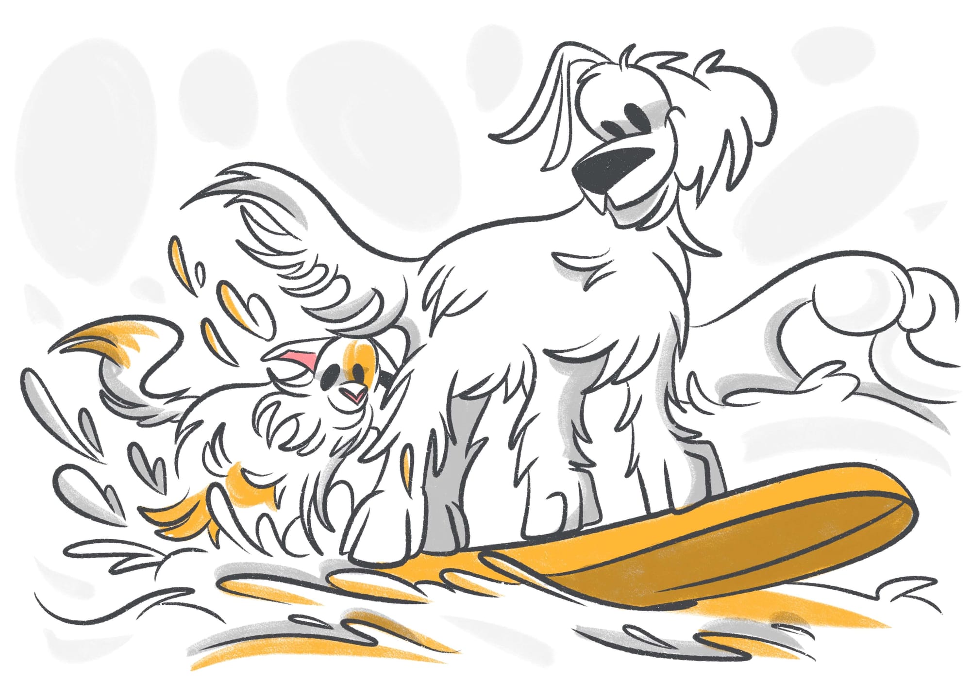 Safety Tips For Taking Your Dog To The Beach