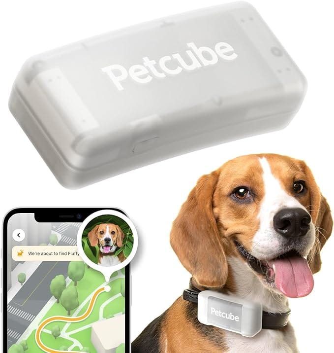 Petcube GPS Tracker