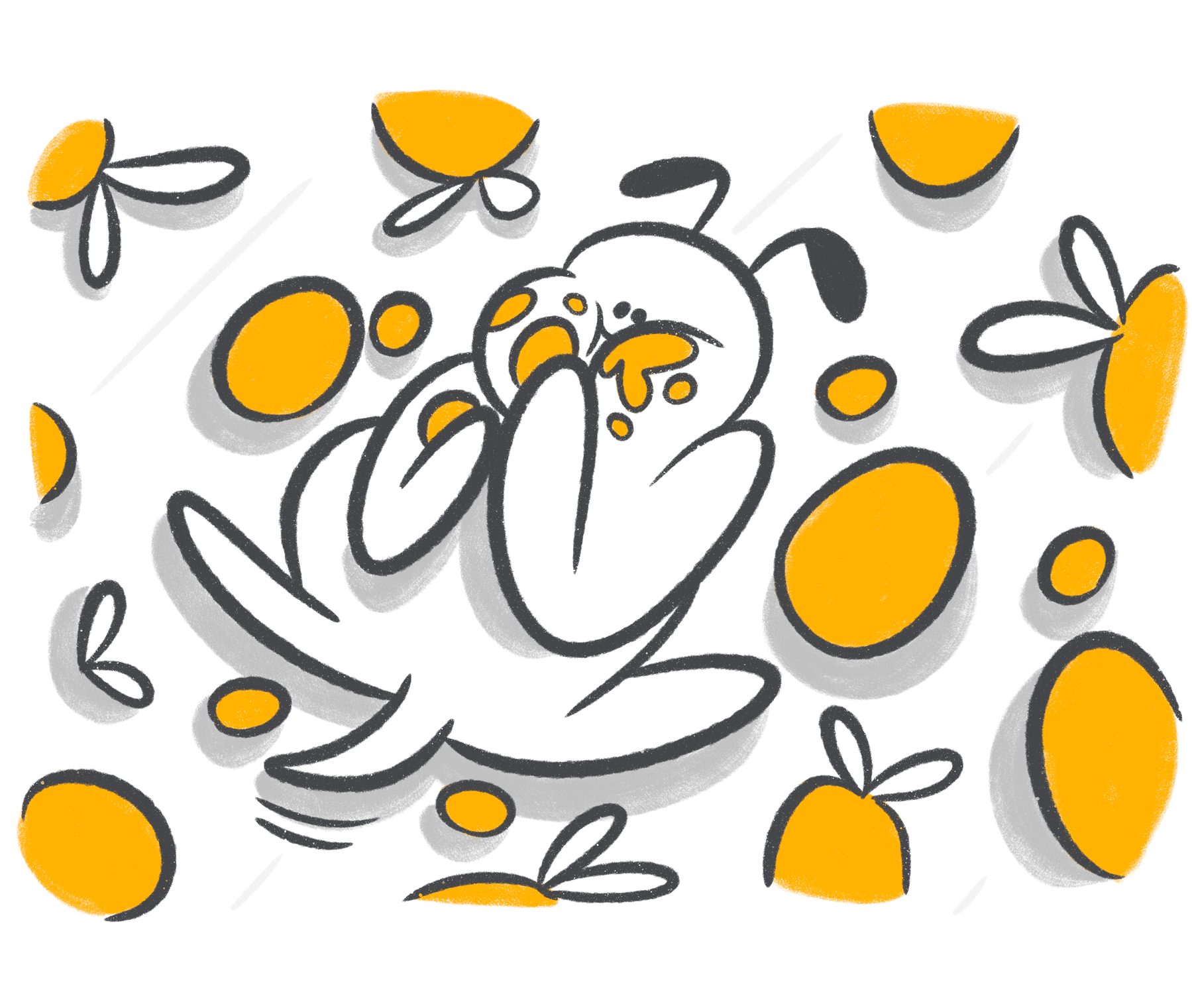 Can Dogs Eat Mango?