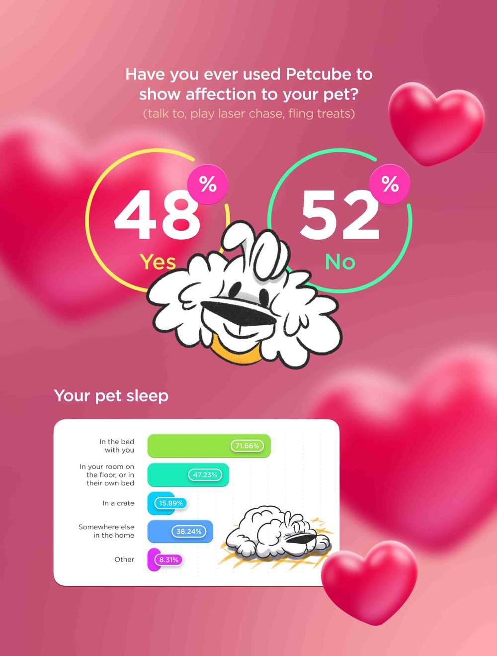 Valentine's Day Survey 2023 Pet Love Is In The Air!