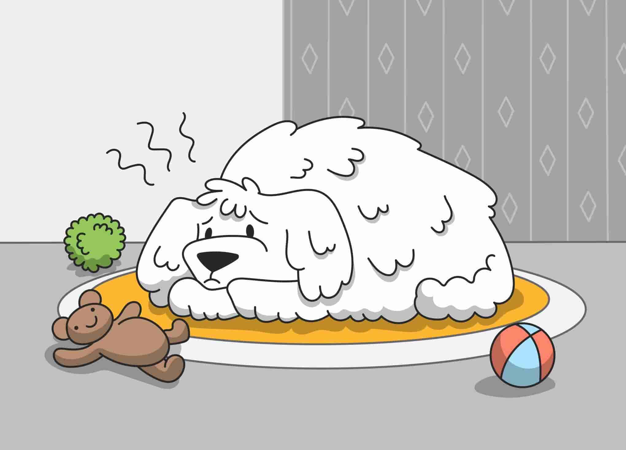 Can Dogs be Autistic? Possible Causes and Signs of Autism in Dogs