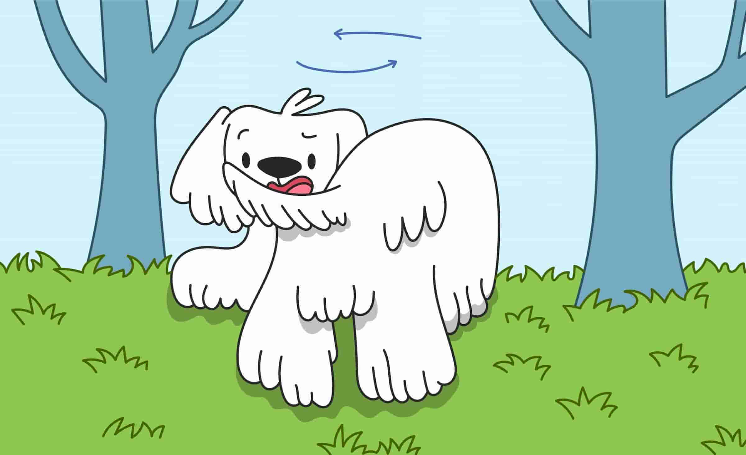 Why Do Dogs Chase Their Tails?