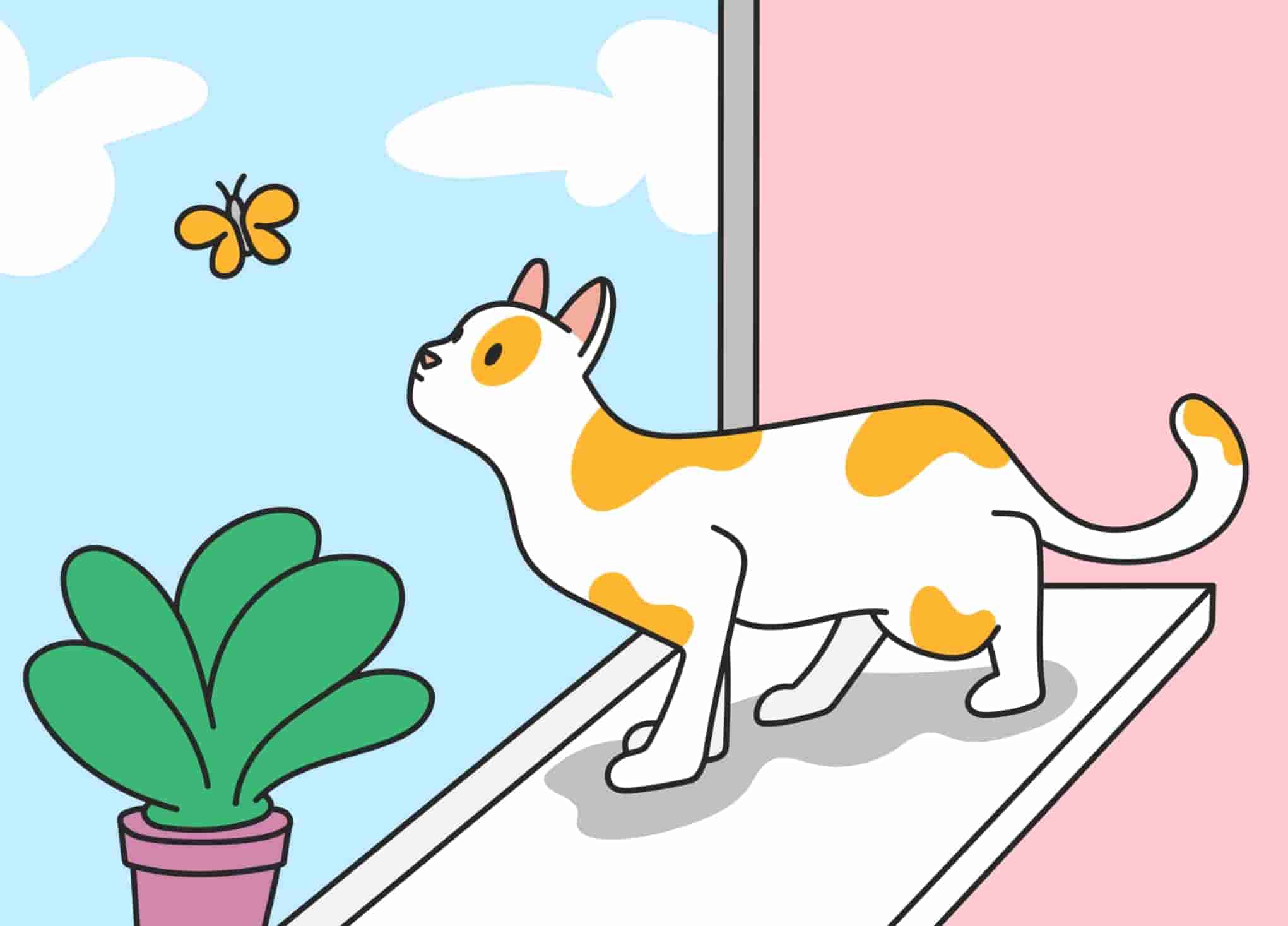 Why Do Cats Stare at You Another Cat Behavior Explained