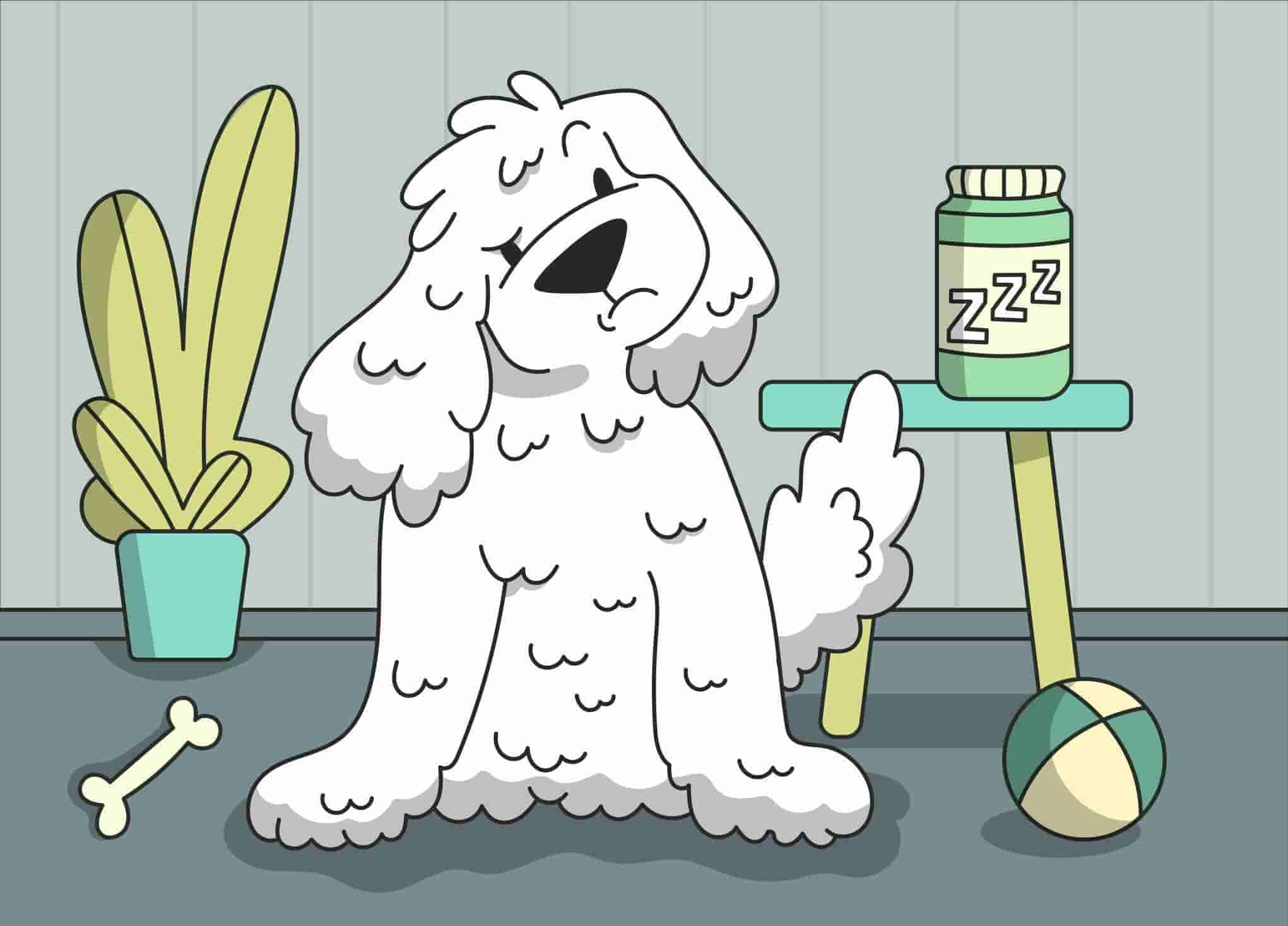 Home Sleep Testing by Sleep Doctor | CPAP Machines, Masks, & Supplies