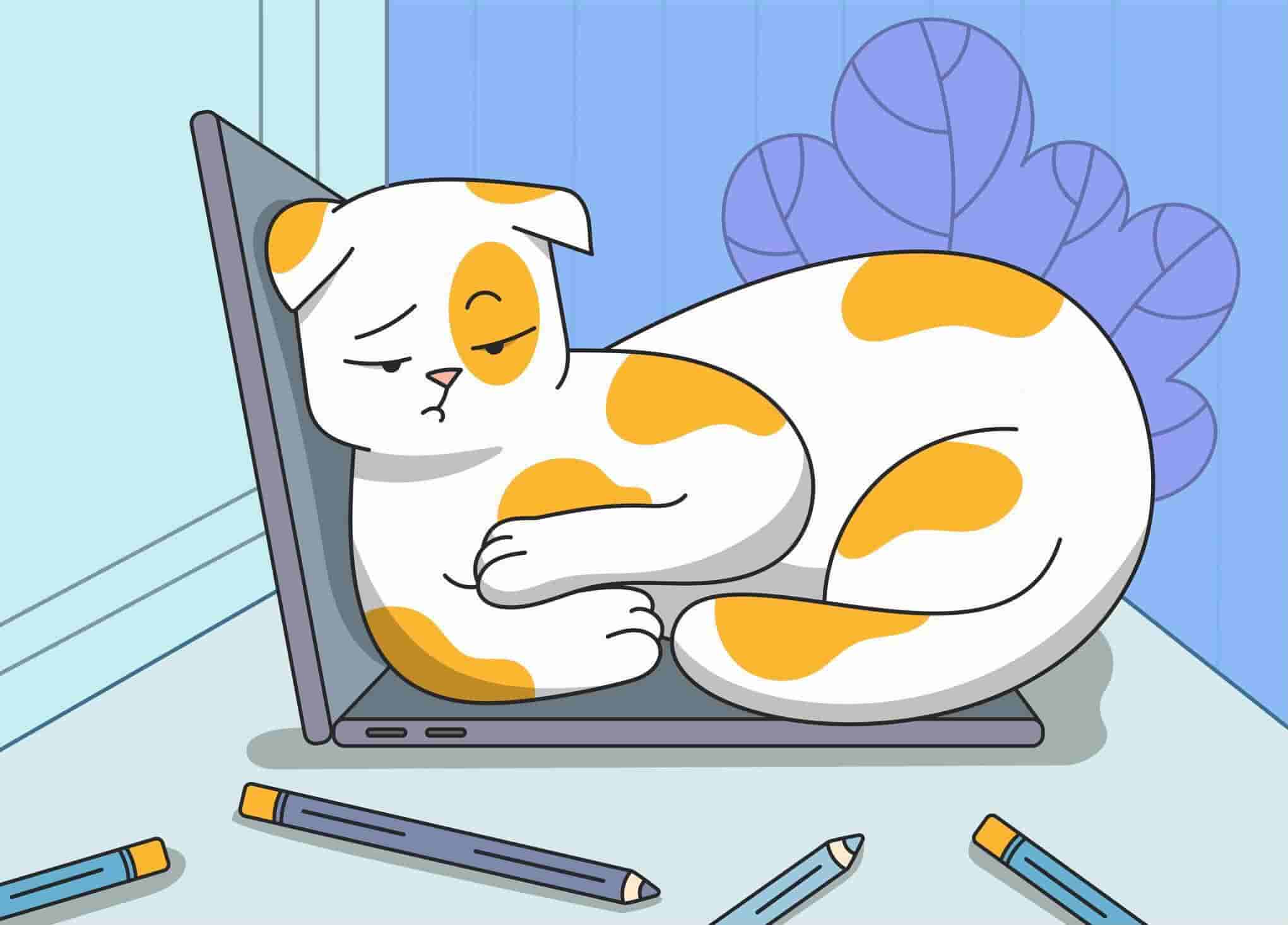 Do Cats Get Bored? Signs and Solutions to Boredom in Cats