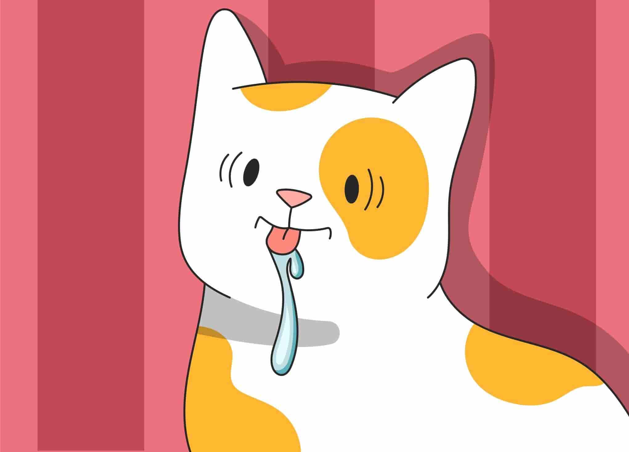 Why is My Cat Drooling? Drooling in Cats Explained