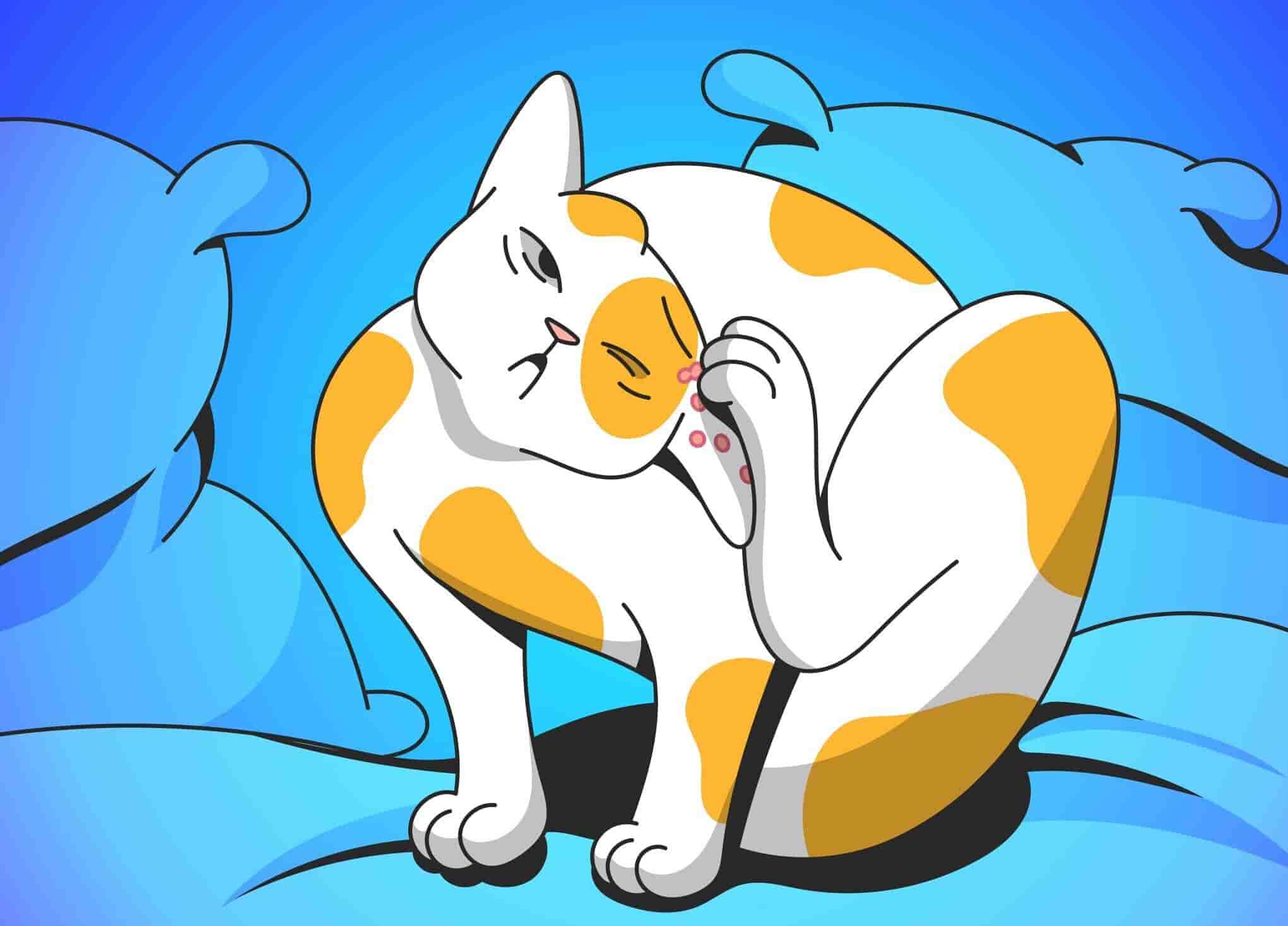 Cat Dermatitis Causes, Types, and Treatment