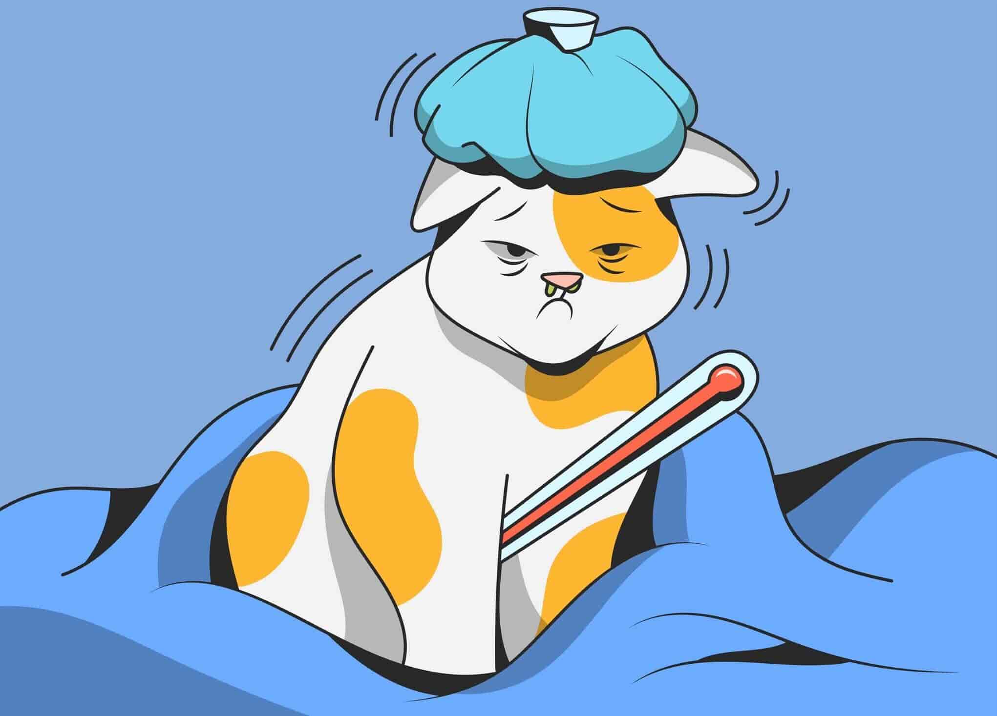How To Tell If A Cat Has A Fever