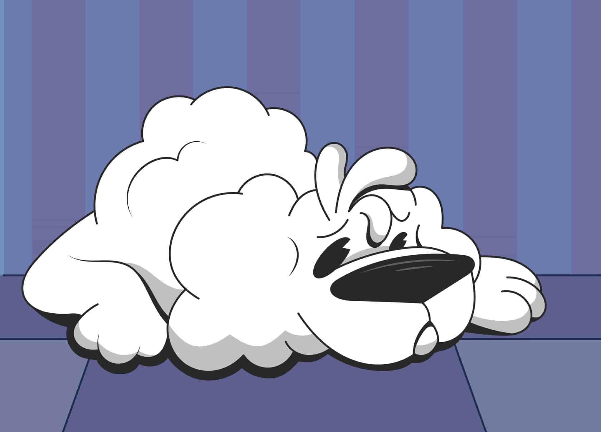 What Does a Dry Nose On a Dog Mean?