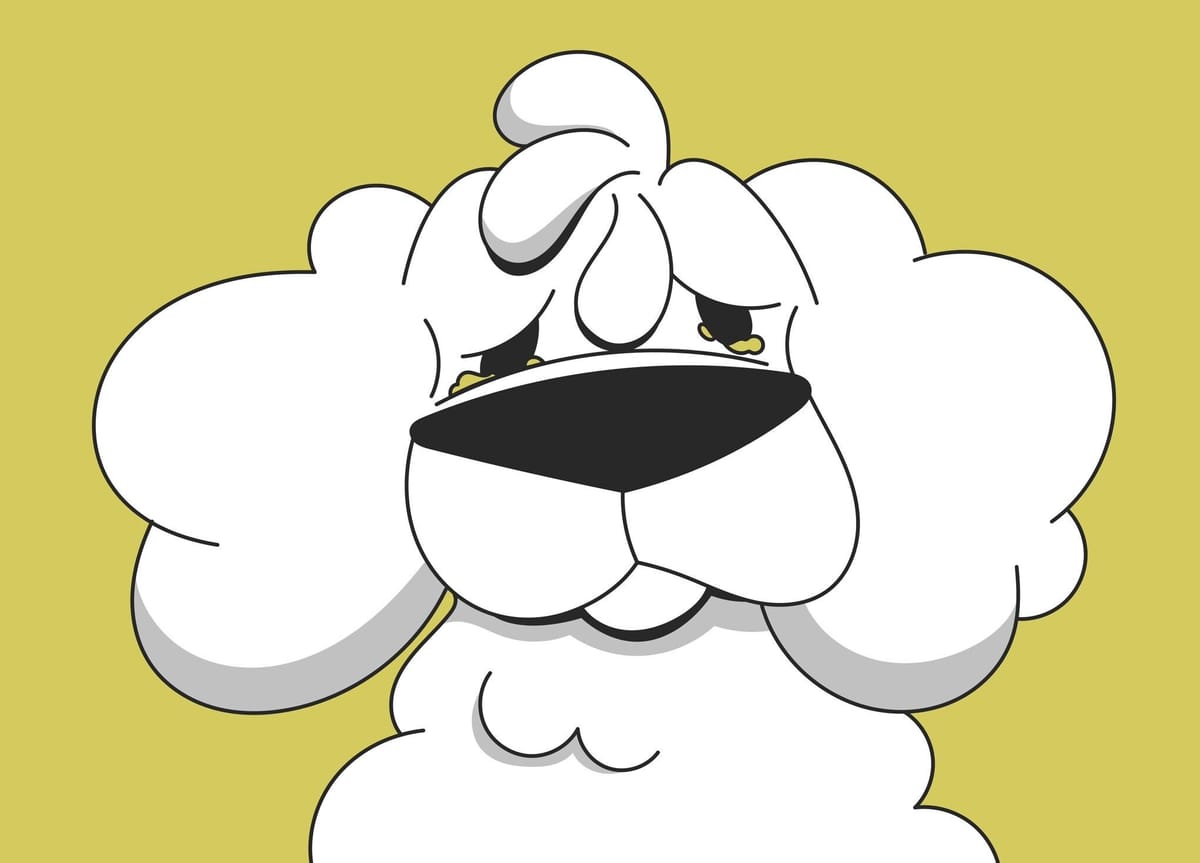 Dog Eye Allergies vs Infection Causes, Symptoms, Treatment