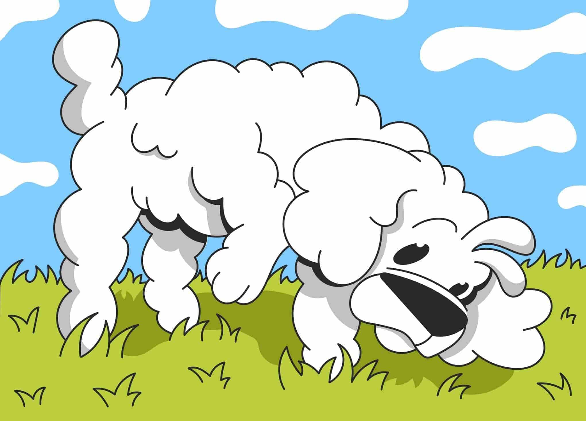 How To Get Your Dog To Stop Sniffing Everything