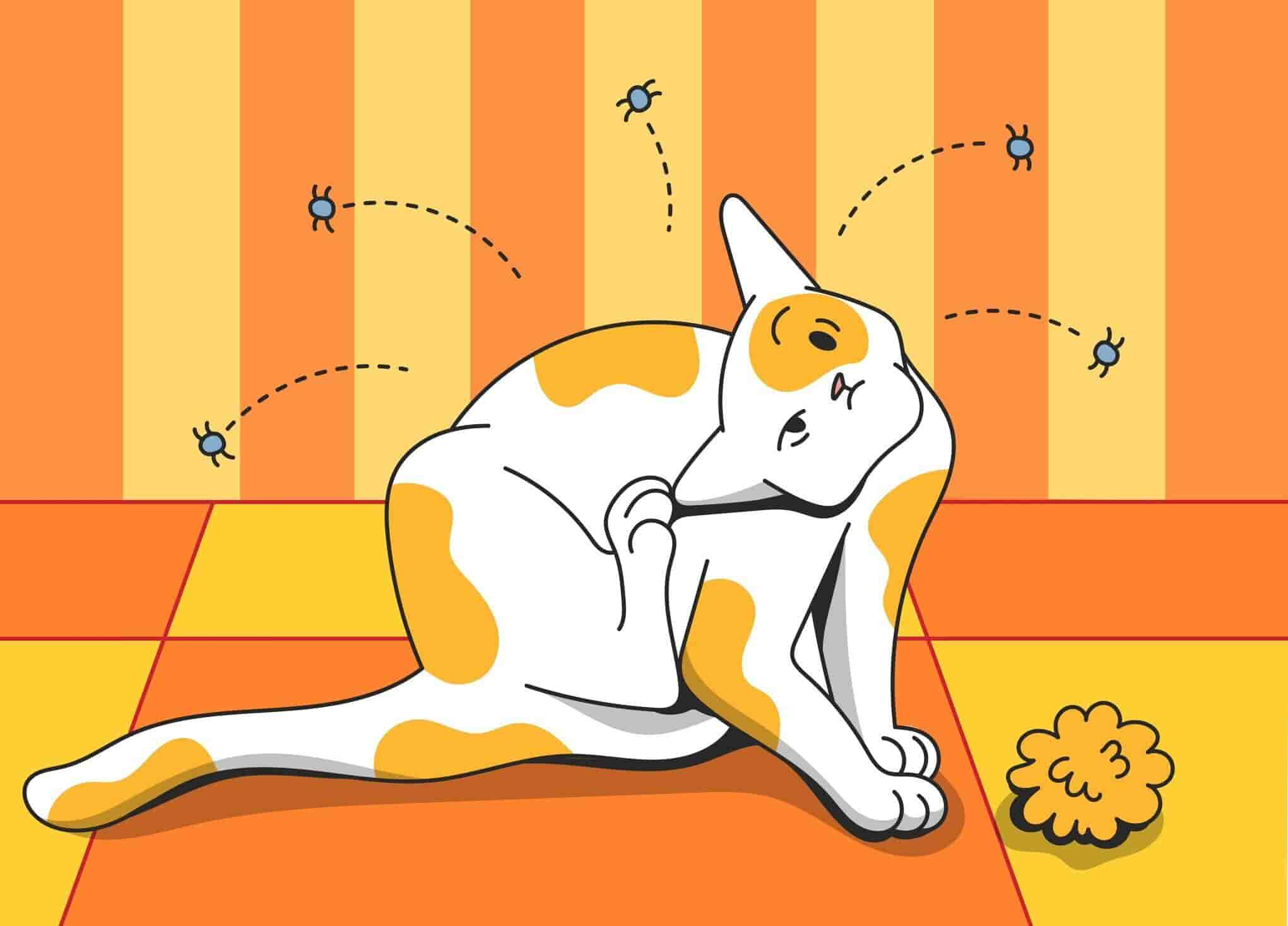 how-to-tell-if-your-cat-has-fleas