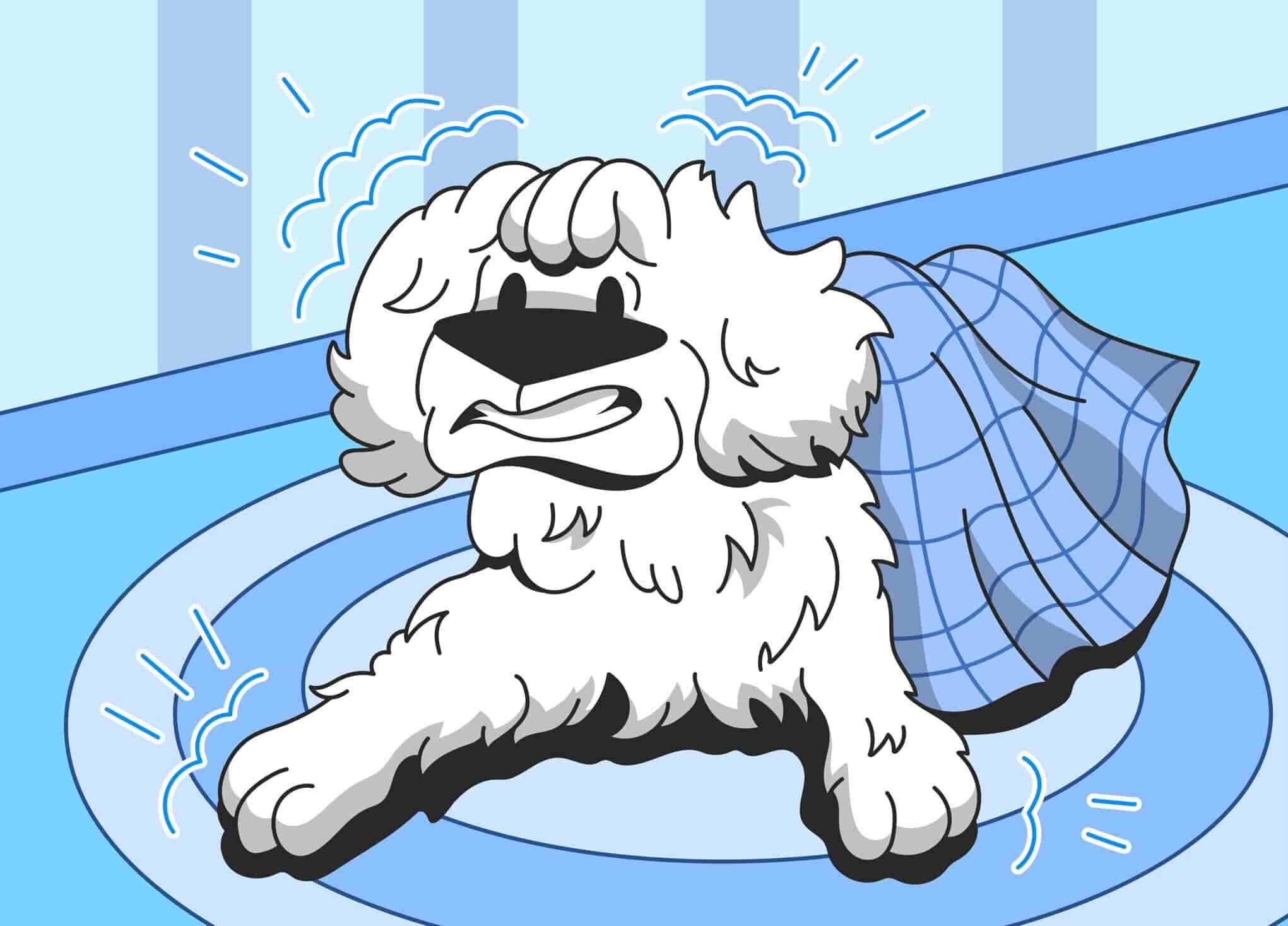 Can Dogs Get Frostbite?