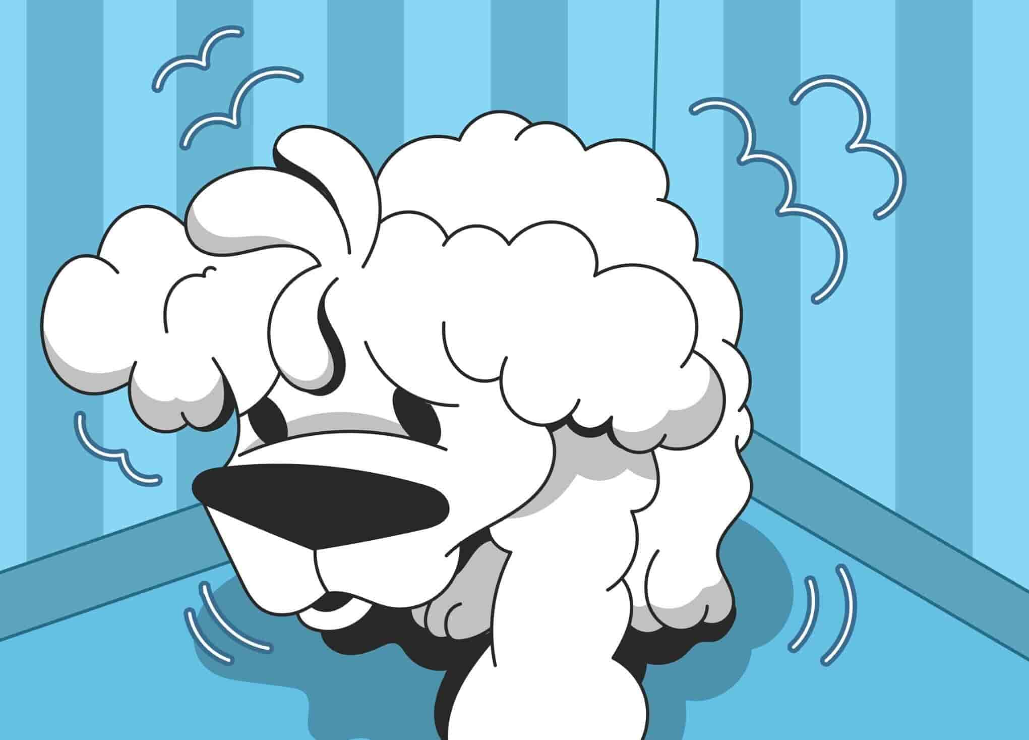 Skittish Dog Why Is My Dog Acting Scared?