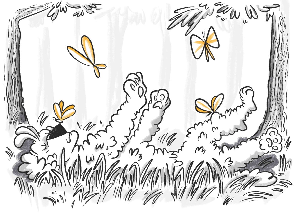 Syncope in Dogs All You Need to Know About Dog Fainting