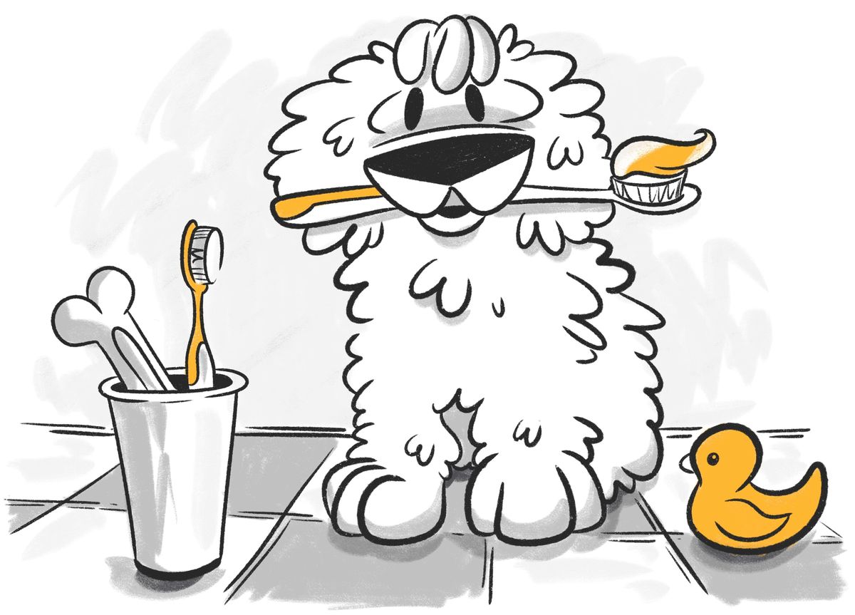 Dog Breath Stinks What Should You Do?