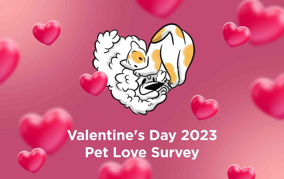 Valentine's Day Survey 2023: Pet Love Is In The Air!