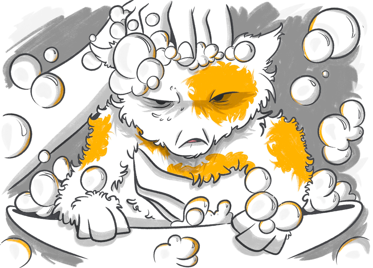 How Often Should You Bathe a Cat?