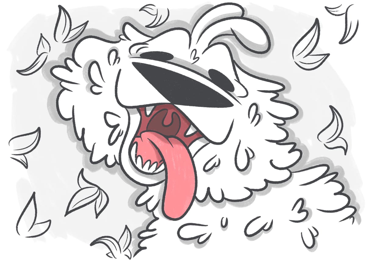 Dog Panting and Shaking Causes, Symptoms, and Care Tips