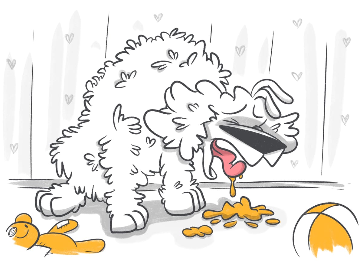 Deciphering the Colors of Dog Vomit