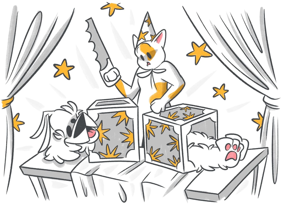 Get Your Pet on TBS's Stupid Pet Tricks!