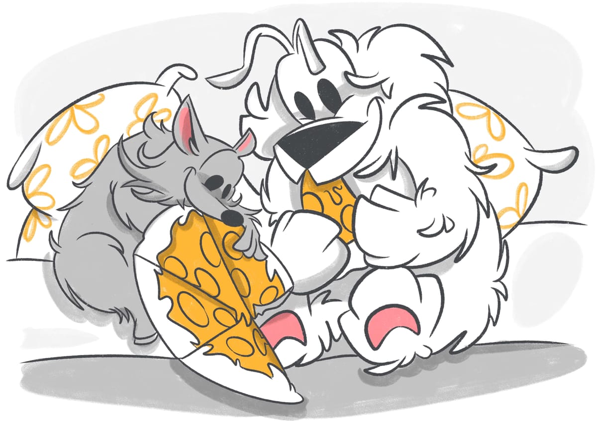 What Do Raccoons Eat?