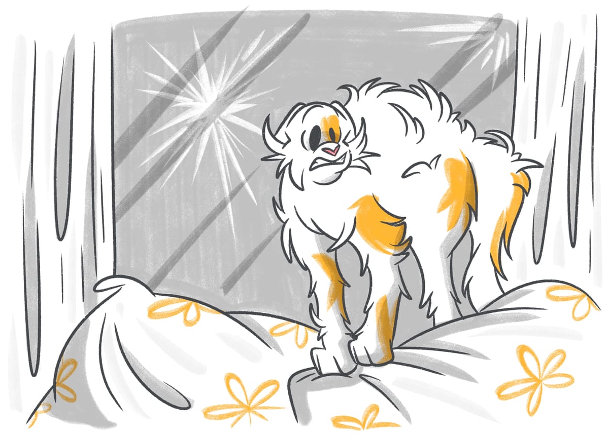 Are Cats Scared Of Fireworks?