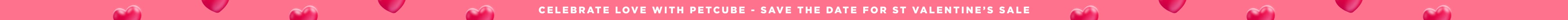 Celebrate love with Petcube - Save the Date for St Valentine’s Sale