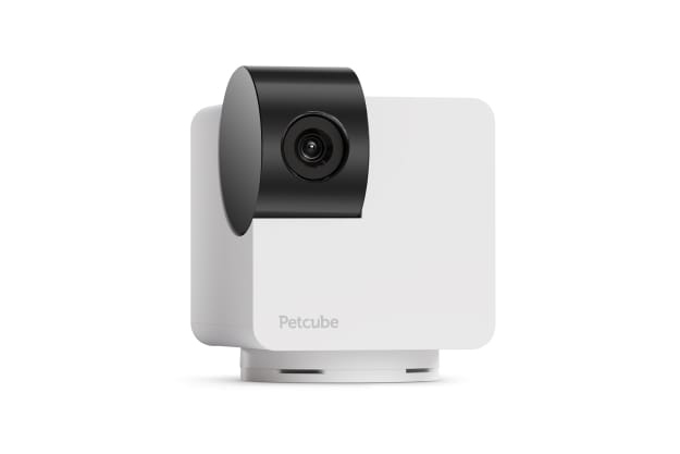 Petcube Cam Caméra de Surveillance pour Animaux de Compagnie avec